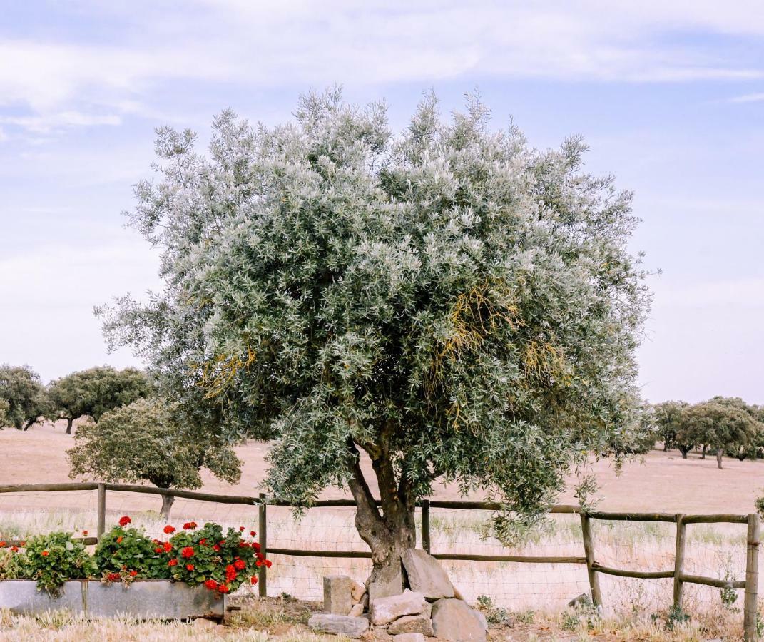 Casas Da Faia - Nature Guest House Arronches Dış mekan fotoğraf