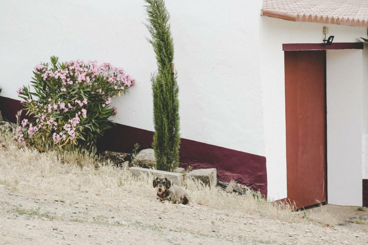 Casas Da Faia - Nature Guest House Arronches Dış mekan fotoğraf