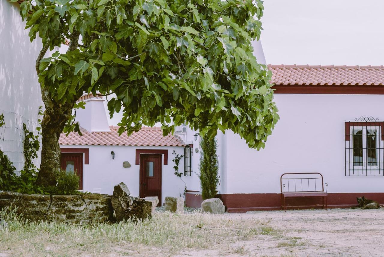 Casas Da Faia - Nature Guest House Arronches Dış mekan fotoğraf