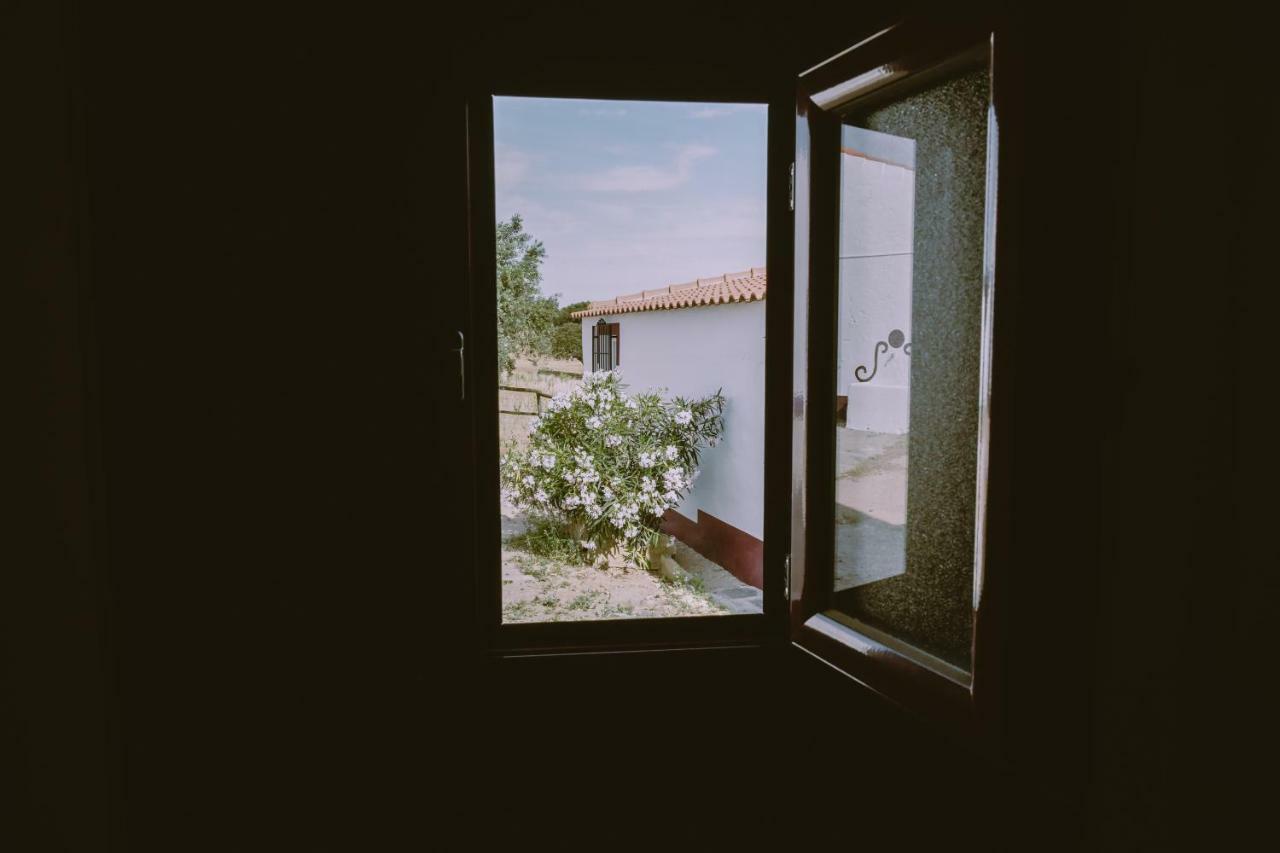 Casas Da Faia - Nature Guest House Arronches Dış mekan fotoğraf