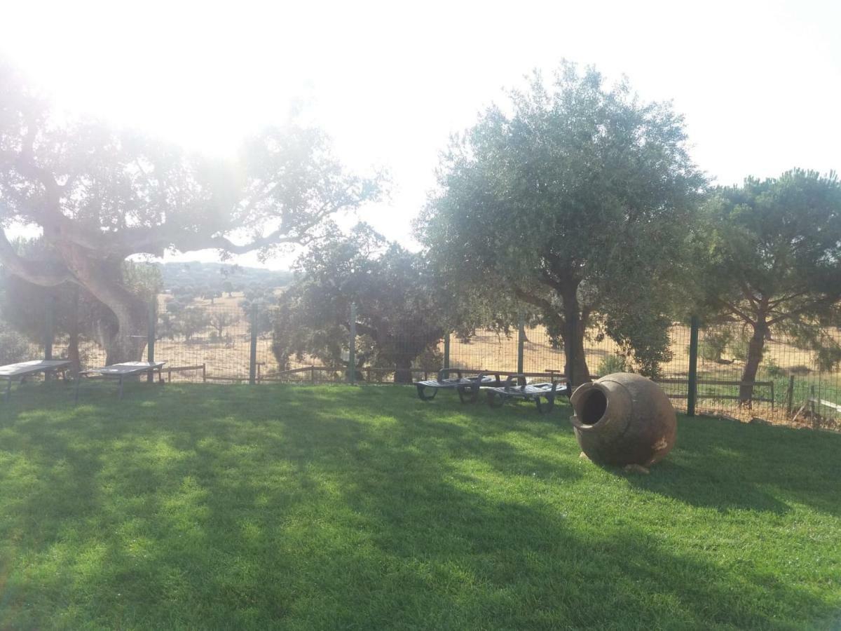 Casas Da Faia - Nature Guest House Arronches Dış mekan fotoğraf